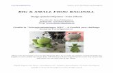 BIG & SMALL FROG RAGDOLL - AnnaVirkpanna · Follow us on Facebook and Instagram Big frog Yarn: Scheepjes Stone Washed XL, 3 skeins of colour 846 Canada Jade (body and head), small
