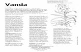 VANDA · 2016. 3. 27. · Vanda VAN-dah Vandasläktet består till största delen av varmväxande Ijusälskande orkidéer med blommor i underbara färger. De flesta Vanda kommer från