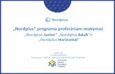 Nordplus programa profesiniam mokymui · „Nordplus Horizontal“ Galimybės: Projekto veiklos Tinklo veiklos Išskirtinumas: Tarpsektorinis bendradarbiavimas „Nordplus Horizontal“