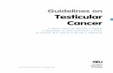 Guidelines on Testicular Cancer - Uroweb · 2017. 4. 26. · 4 TESTICULAR CANCER - UPDATE MARCH 2011 1. BACKGROUND Testicular cancer represents between 1% and 1.5% of male neoplasms