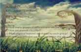 Animal Classi˜cation Discussion Questions · vertebrates and 6, 755, 830 invertebrates living in the world. In 2009 there were 64 788 accepted species of vertebrates and 1 359 365