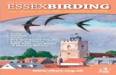 ESSEXBIRDING - ebws.org.uk...ISSUE NO. 125 | WINTER 2014/SPRING 2015 | £5.00. 2 EDITORIAL LESLEYCOLLINS ... Kestrel Nest box presented to Southend School for Girls Louise and John