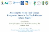Assessing the Water-Food-Energy- Ecosystems Nexus in the ... · Action 3: Raise awareness of the decision-makers in each sector about the importance of understanding key sector interdependencies