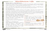 Workhouse Life - lilylane.manchester.sch.uk€¦ · Workhouse Life What Was a Workhouse? Workhouses were common during the Victorian era of the 1800s, but the first record of one