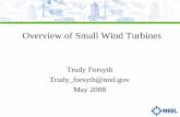Overview of Small Wind Turbineswindpower.sandia.gov/2008BladeWorkshop/PDFs/Mon-08-Forsyth.pdf · AWEA Small Wind Turbine Global Market Study 2007 • 2400 SWT sold as of 12/31/06