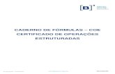CADERNO DE FÓRMULAS – COE CERTIFICADO DE OPERAÇÕES …€¦ · Caderno de Fórmulas tem por objetivo orientar os usuários do Módulo do COE - Certificado de Operações Estruturadas,