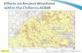 Effects on Ancient Woodland within the Chilterns AONB · 375322 Potter Row, Great Missenden CS2109 44.1 39.0 45.6 67.2 44.7 42.4 38.6 1,A,iii,b R1311 (11) HOC/01809/0012. Appendix