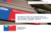 Análisis de la evolución y desempeño agroexportador de Chile ......Análisis de la evolución y desempeño agroexportador de Chile, 2000-2017 abril 2019 Autores: Rodrigo Pérez