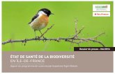 EN ÎLE-DE-FRANCE - biolovision.netfiles.biolovision.net/...de-France, comme le Bruant proyer qui a vu ses effectifs diminuer de 43% depuis 2004 (Fig. 5). Enfin, notons que les espèces