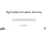 Agricultural Labor Survey - University of California, Davis · Agricultural Labor Survey United States Department of Agriculture National Agricultural Statistics Service (NASS) CurtStock