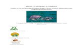 Petition to list Taiwanese humpback dolphin under U.S ... · 3/9/2016  · Taiwanese humpback dolphin (Sousa chinensis taiwanensis) and the Chinese humpback dolphin (Sousa chinensis