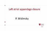 Left atrial appendage closure - European Society of Cardiology...Left atrial appendage • Complex structure with effective contractions during sinus rhythm, contractions disappear