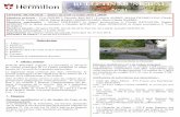 BULLETIN MUNICIPAL N°31 - ltm.site-web-creation.net€¦ · 4– Rapports 2017 de l’eau et de l’assainissement, 5- Foncier, 6- Travaux, 7- Questions et informations diverses.