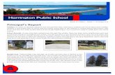 Harrington Public School · Harrington Public School in applying for the ‘My Community Project’ grant of $100,000. Although we were unsuccessful in obtaining the grant, there