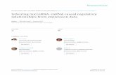 Inferring microRNA-mRNA causal regulatory relationships from …nugget.unisa.edu.au/Thuc/Bioinformatics1-pre.pdf · 2017. 1. 7. · Inferring microRNA-mRNA causal regulatory relationships