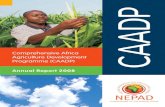 What is NEPAD? NEPAD and CAADP...African agriculture in the context of CAADP. From 2004 to 2008, every G8 Summit cited CAADP as the framework for boosting agriculture and doing away