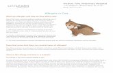 Allergies in Cats · 2020. 4. 28. · allergy. An allergy occurs when the cat's immune system overreacts or is hypersensitive to foreign substances called allergens. Allergens are