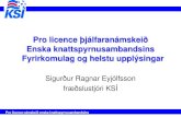 Pro licence þjálfaranámskeið Enska knattspyrnusambandsins ...½singar.pdf · letter (1 bls) og meðmælabréf (letters of reference). Hægt er að nálgast sýnishorn af öllu