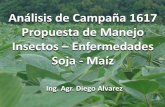 Análisis de Campaña 1617 Propuesta de Manejo Insectos ...lares-srl.com/site/wp-content/uploads/2017/07/5Diego-Alvarez.pdfAnálisis de Campaña 1617 Propuesta de Manejo Insectos –