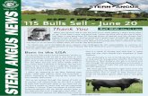 May 2019 STERN ANGUS NEWS€¦ · STERN ANGUS NEWS May 2019 Born in the USA It’s all very well using a bit of American semen on ... When it comes to bulls Tim and Greg have been