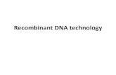 Recombinant DNA technology - كلية الطب · PDF file 4. Amplification of recombinant DNA I. Cloning of recombinant DNA It is the method of replicating recombinant DNA inside