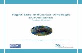 Right Size Influenza Virologic Surveillance...2.1.1. This project will address US domestic virologic (specimen‐based) surveillance capacity only. This project will not address sentinel