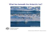 What lies beneath the Antarctic Ice? · Adele penguins on sea ice Adele penguins on sea-ice. National Science Week 2007: Antarctic Science BIOLOGICAL HISTORY FROM AN ANTARCTIC SEDIMENT