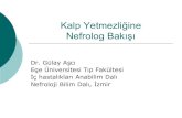 Kalp Yetmezli¤ine Nefrolog Bak¤±¥¤± - TurkHipertansi ... Kalp Yetmezli¤ine Nefrolog Bak¤±¥¤± Dr