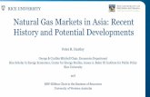 Natural Gas Markets in Asia: Recent History and Potential ......Explanations for long-term contracts v We focus on two main explanations for the desirability of long-term contracts:
