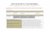 Awareness Campaign - WordPress.com · Questionnaire Brand platform Key terms and phrases Core facts about cause Campaign objectives and desired outcomes 5W’s Promotional copy Related