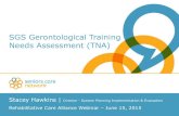 SGS Gerontological Training Needs Assessment (TNA)seniorscarenetwork.ca/wp-content/uploads/2015/11/...professional certifications, specialization, clinical rotations, and etc.) (Bardach