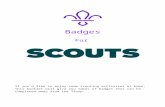 support.mkscouts.org · Web viewFor E. Badges