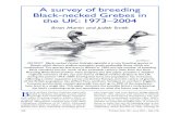 A survey of breeding Black-necked Grebes in the UK:1973–2004...data held on Black-necked Grebes by the RBBP for the period 1973–2004. In addition, county avifaunas, county bird
