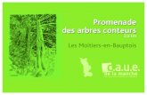 Promenade des arbres conteurs - CAUE50€¦ · Promenade des arbres conteurs 2,5 km Les Moitiers-en-Bauptois Promenade des arbres conteurs Les Moitiers-en-Bauptois une boucle à partir