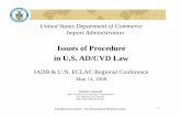 Issues of Procedure in U.S. AD/CVD Law...CVD Investigation Section I: General Information Section B: Comparison-Market Sales Section C: U S Market Sales Section II: Government General