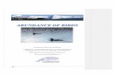 ABUNDANCE OF BIRDS - Chugach HeritageABUNDANCE OF BIRDS Developed by Karen M. Swearingen ... By watching birds, whalers could find where struck whales had drifted ashore; ... An Elder