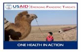 ONE HEALTH IN ACTION - ecohealthalliance.org · 2013 and continuing into 2016, resulted in over 28,600 cases, reducing gross domestic product growth in all three highly affected countries