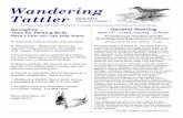 Wandering Tattler - Sea and Sage Audubon Society · 2017. 9. 2. · fish, mammals, birds, reptiles, amphibians, and invertebrates. He will describe the oft-bizarre lifestyles of these
