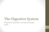 The Digestive System - PRE-NURSINGprenursingat1199c.weebly.com/.../digestive_system.pdfThe Digestive System Prepares food for use by all body cells. Digestion •The chemical breakdown