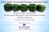 2015 High Tunnel Bell Pepper Variety Trialshightunnels.org/wp-content/uploads/2015-KSU-High... · 2015 KVGA High Tunnel Pepper Variety Trial *Values below the same horizontal line