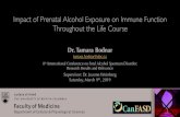 Impact of Prenatal Alcohol Exposure on Immune Function ... · morphology and their function and developmental trajectory can be inﬂuenced by maternal hormones, maternal immune factors