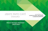 dBATE PAPO CAFÉ - Ministério da Agricultura, Pecuária e …enagro.agricultura.gov.br/cursos-e-capacitacao/dbate-papo/arquivos/… · Agropecuária Internacional no Brasil – Possibilidades