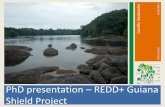 PhD presentation REDD+ Guiana Shield Project · General presentation – PhD: Context R and Objectives 14 2 G. PhD presentation •Beginning : october 2013 in Kourou (French Guiana)