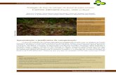 Avaliação do risco de extinção do jacaré-de-papo-amarelo ......mais baixo que o atual (Vilella et al. 2008). Ações de conservação A aplicação de leis ambientais fora de