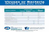 To learn more about antibiotic prescribing and use, visit … · Antibiotics are only needed for treating certain infections caused by bacteria. Viral illnesses cannot be treated