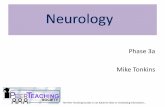 Phase 3a Mike Tonkins€¦ · Disorders of… –Movement –The neuromuscular junction –Muscle –Spinal cord –Cranial and peripheral nerve palsies …plus dermatomes and myotomes.