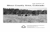 Soil Survey of Mesa County Area, Colorado 

Soil Survey Mesa County Area Colorado Created Date: 20010402150024Z
