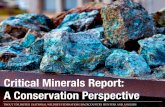 Critical Minerals Report: A Conservation Perspective · 2020. 8. 26. · A Conservation Perspective TROUT UNLIMITED | NATIONAL WILDLIFE FEDERATION | BACKCOUNTRY HUNTERS AND ANGLERS.