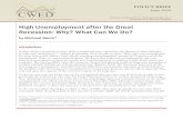 High Unemployment after the Great Recession: Why? What ......2 High Unemployment After the Great Recession to 9.7 percent in January 2010 and remained at 9.7 percent in May 2010. But