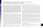 Inhibitors of metabolism rescue cell death in Huntington’s ......Inhibitors of metabolism rescue cell death in Huntington’s disease models Hemant Varma*, Richard Cheng*, Cindy